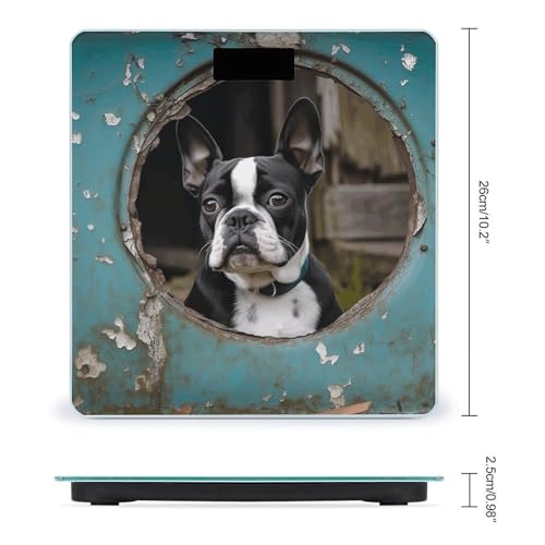 Báscula digital para peso corporal Boston Terrier miniatura 2