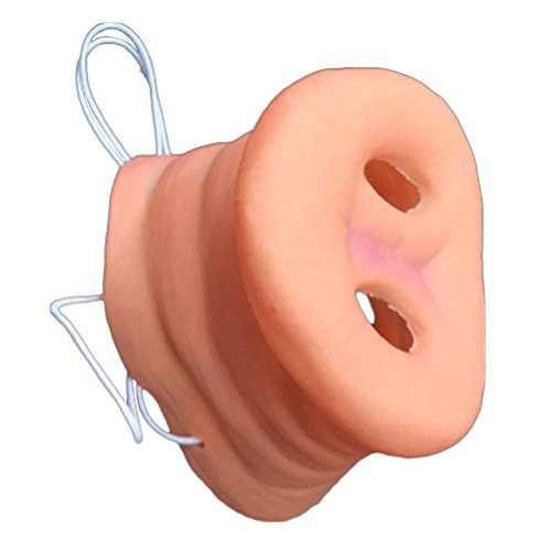 YeahiBaby Schwein Nase Maske mit Gummiband, interessante Tier Maske für Party, Satz von 2 Stück