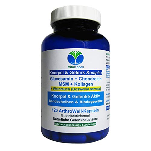 Knorpelaufbau KNORPEL & GELENKE Komplex 120 Kapseln - ArthroWell TOP-5 Gelenkbausteine Gelenkkapseln mit Glucosamin, Chondroitin, MSM, Kollagen, Weihrauch. OHNE ZUSATZSTOFFE 26444-120