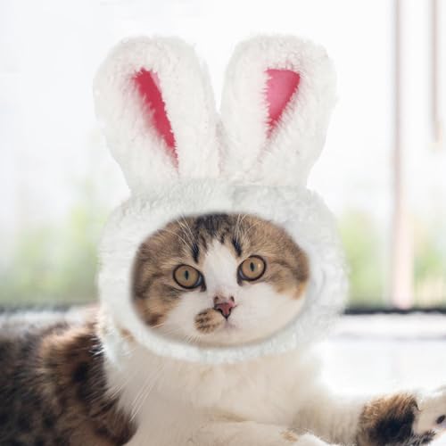 Disfraz orejas de conejo para gato y perro pequeño