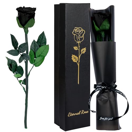 CSYY Rosa Eterna, Rosa Eterna Negro con Tallo Flores Preservadas Regalo San Valentín Dia de la Madre Flores Preservadas Regalo Mama Navidad Negro