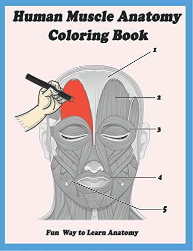 Human Muscle Anatomy Coloring Book: Fun Way to Learn Anatomy Muscles Human for Adults, Teens, Doctors, Nurses and Students (Samuel Sam Anatomy Coloring Book)