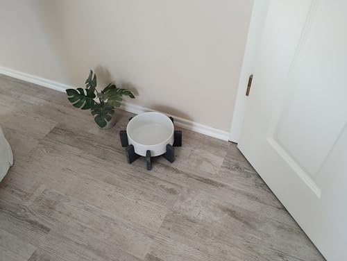 Hundenapf Beton Design