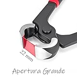 BJDSI B0F88XL5FM lato 4