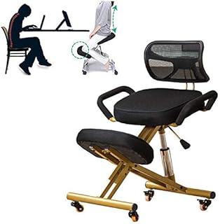 ZLJ Silla arrodillada, Sillas de Oficina ergonómicas Taburete Ajustable de Postura ergonómica, con Rueda de Silla con Respaldo (Color: Negro), Negro
