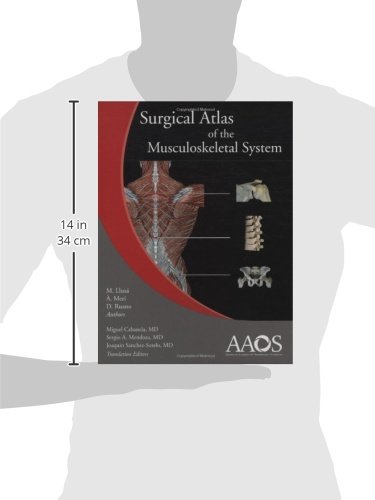 Surgical Atlas Of The Musculoskeletal System