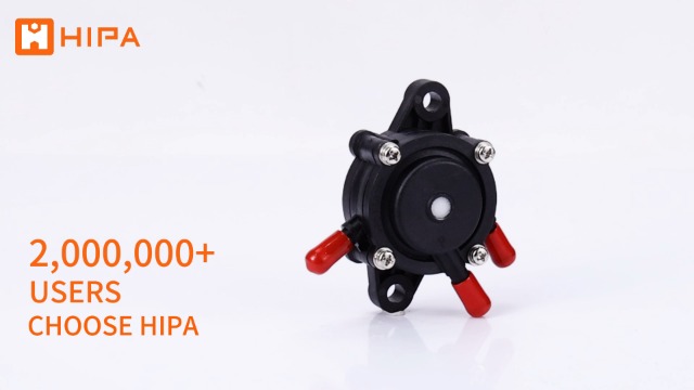 Amazon.com: HIPA 24 393 04-S 24 393 16-S Fuel Pump