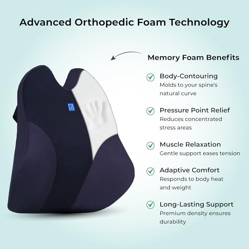 Image of Back Support for Office Chair | 5-Year Warranty | Premium Memory Foam Lumbar Support Pillow | Orthopedic Backrest for Lower Back Pain Relief | Ergonomic Desk Chair & Car Cushion (Large)(Blue)