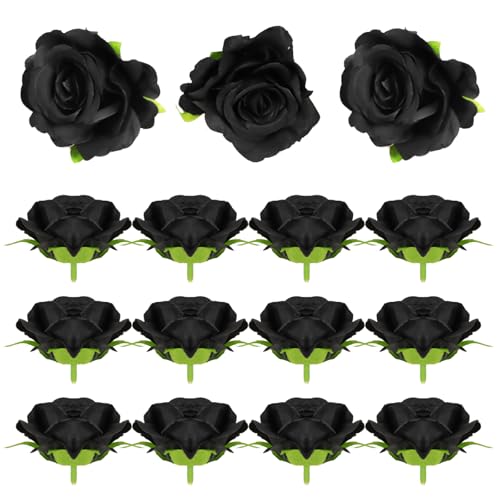 siawadeky  o  16Zbg [Y Ԃ̂  AɌ KN z[ A[gt[  u[P ԏ Í SVbN nEB Be ʐ^wi z[fR[V