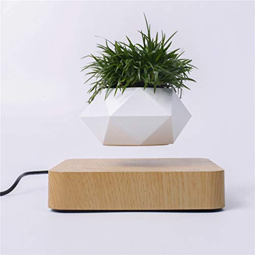 Kiko-ershaa Plante en Lévitation Plante Flottant Air Bonsaï Jardinière de Pot de Fleur de...