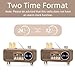 Retro Radios FM Portable Bluetooth Speaker,12/24H Small Plug in Vintage Clock Radio with USB/AUX/TF Card for Kitchen/Bedroom/Desk/Shelf (Wood Grain)