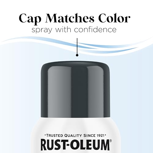 Image of Rust-Oleum Low Odor Premium Spray Paint, 11 oz, Gloss Anchor Gray, 2 Pack