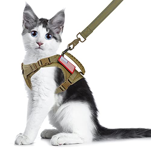 Large Tactical Cat Harness and Leash Set, Adjustable Walking Pet Vest