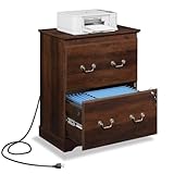 DEVAISE 2 Drawer File Cabinet,Lateral Vintage Farmhouse Wood Filing Cabinet with Lock & Charging Station for Letter/Legal/A4 Size, Brown Oak