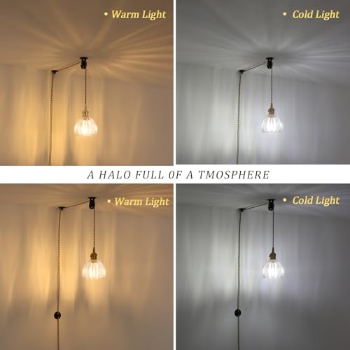 Image of Shenmoyl Plug in Pendant Light Hanging Light Fixture Corded On /Off Switch Brass Pendant Light with Clear Tulip Glass Lampshade for Bedroom Living Room Kitchen Island