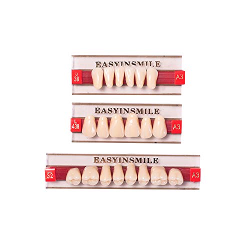 Image of Easyinsmile Dental Synthetic Resin Teeth A2 A3 False Upper Lower Teeth Replacement Dentures for Halloween (A3, Full Set 438+U38+32)