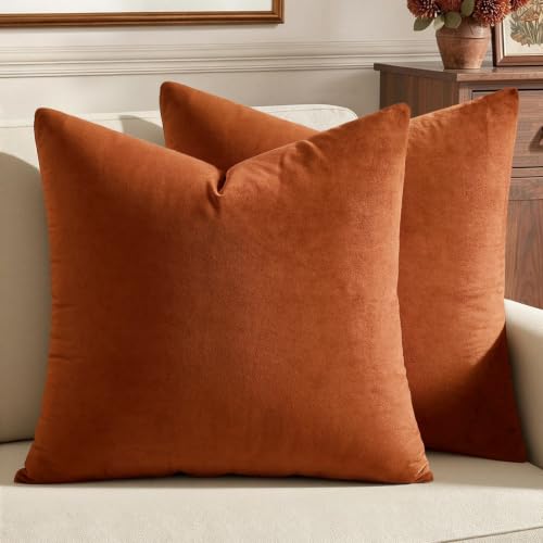 Image of MIULEE Pack of 2 Rust Pillow Covers 20x20 Inch Fall Decorative Velvet Throw Pillow Covers Modern Soft Couch Throw Pillows Farmhouse Home Decor for Sofa Bedroom Living Room