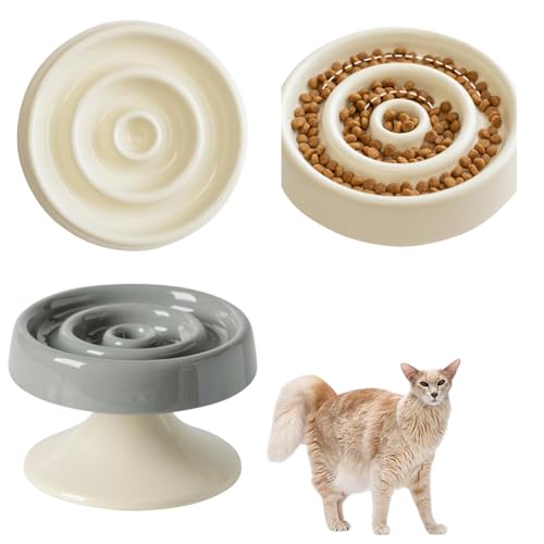 Lifetips IG^OwAL I Lp X[t[h{E ؐ Hh~ ~ HZbg ^ L  􂢂₷ i-̌^^CvO[j