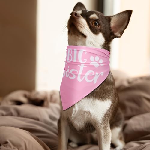 Ymapinc Bandana Big Sister para cachorro, rosa, gato, anúncio de gravidez, cachecol triangular, roup