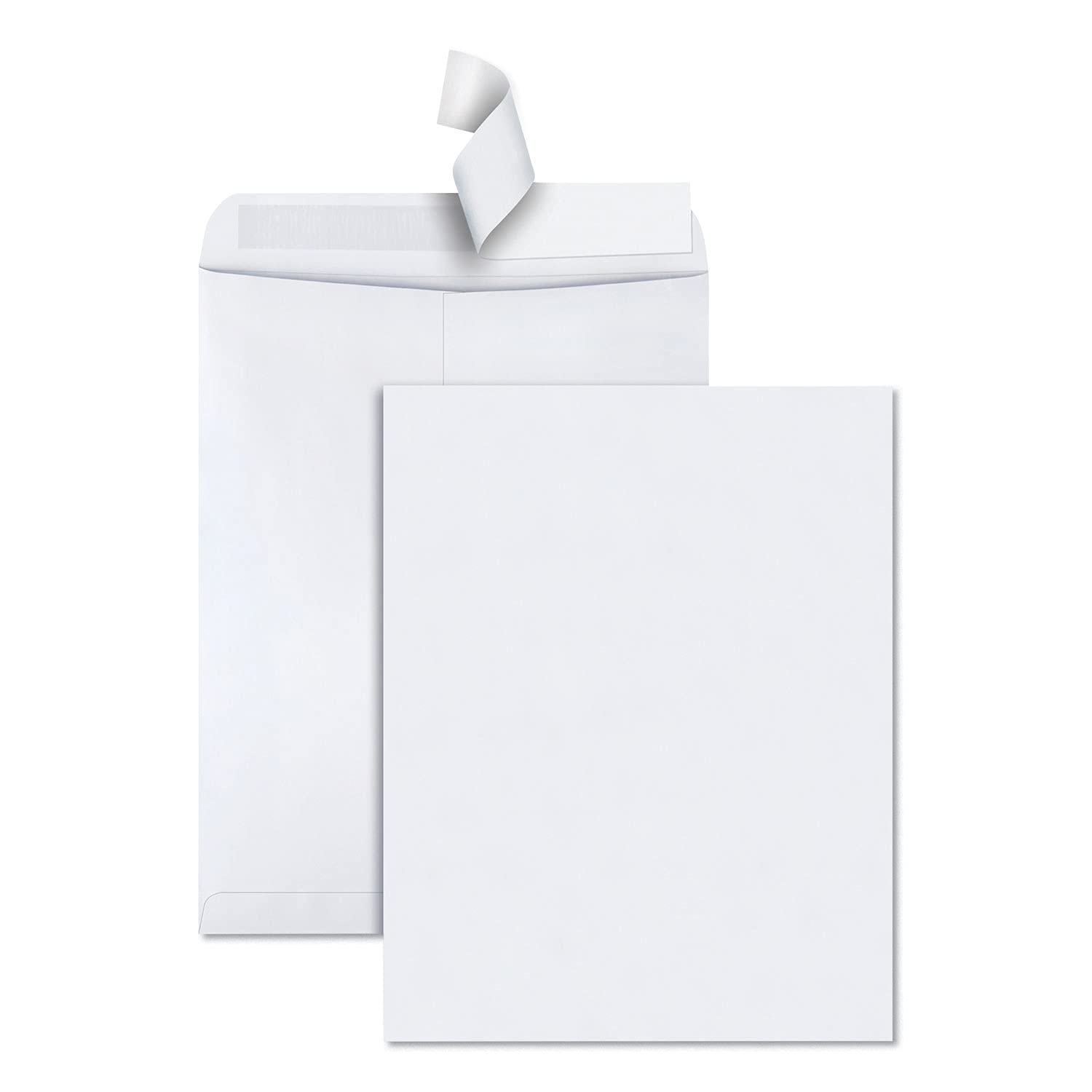 Park Redi-strip Catalogue enveloppes de qualité, 30,5 x 39,4 cm, Blanc, boîte de 100 (44082)