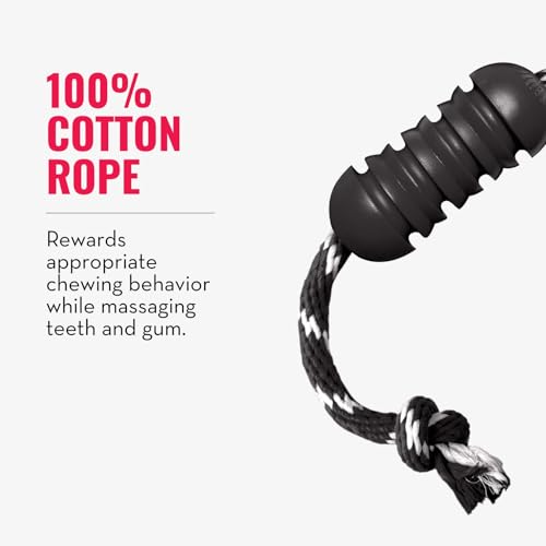 KONG Extreme Dental mit Seil - Hundespielzeug - Befüllbares Kauspielzeug aus Naturkautschuk für die Zahnpflege - Reinigt Zähne und Zahnfleisch - Für Mittelgroße Hunde