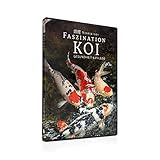 Koi Ratgeber Vertriebs GbR