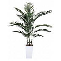 Amazon｜Kugusa 【生花店監修】 フェイクグリーン ドラセナ 150cm 大型