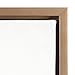 Kate and Laurel Sylvie Succulent Framed Canvas Wall Art by F2 Images, 18x24 Gold