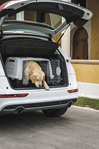 Kerbl 81340 Gulliver Touring IATA Transportbox, 80 x 58 x 62 cm, grau