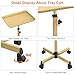 Salon Tray Cart Tattoo Tray Rolling Cart, Service Rolling Tray, Height Adjustable Styling Tray, Storage Tray Trolley for Beauty Salon Clinic Spa (Champagne Gold)