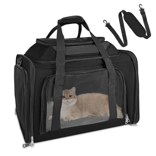 Lohofrnny Transporttasche für Katze Hund, Tragbar Transporttasche Katze mit Haustierausweis, Faltbare Nach Oben Ausbaubar Haustiertasche für Katze und Welpen bis 8 kg (Schwarz, 50×34×34cm)