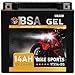 Produktbild BSA YTX14-BS GEL Motorradbatterie 12V 14Ah 230A/EN Batterie doppelte Lebensdauer entspricht 51214 YTX14-4 CTX14-BS GTX14-BS vorgeladen auslaufsicher wartungsfrei
