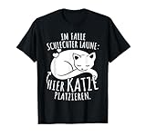 Katzen Sprüche Für Katzen Liebhaber