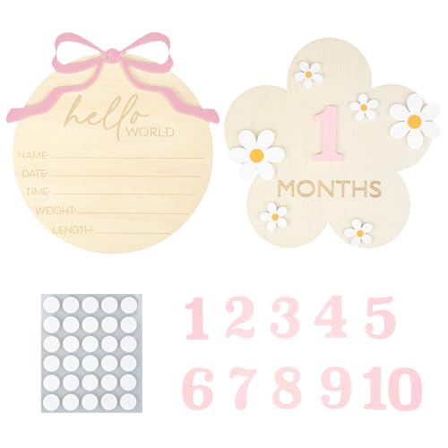 Image of Wooden Baby Announcement Sign & Baby Monthly Milestone Sign Set, Birth Announcement & 1-12 Months Interchangeable Discs for Newborn Girls Photo Props (Pink Numbers)