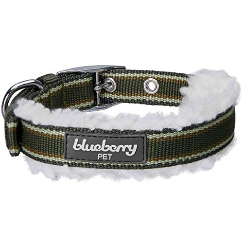 Collier chien polaire rayé olive Blueberry Pet 23-32cm