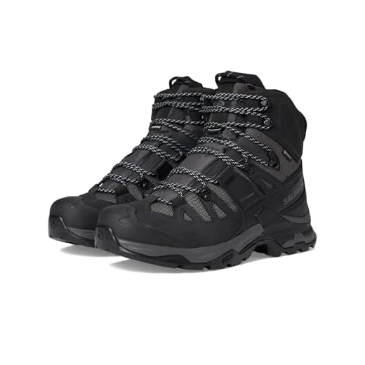 Salomon Men's QUEST 4 GTX, Magnet/Black/Quarry, 9