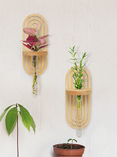 Biubee Plastic Wall Hanging Planter Tubes With Wooden Holders- 4 Set Separate Wall Mounted Propagation Plant Station Stable Hanging Test Tube Vase For Indoor Hydroponics Plants Home Office Decor #TOP4