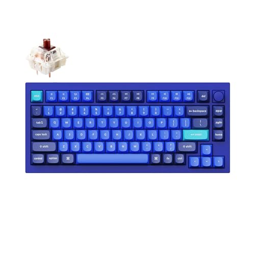 Keychron Q1 QMK Gateron Phantom ���J�j�J���L�[�{�[�h �m�u�t�� RGB �u���E���X�C�b�` �J�X�^��