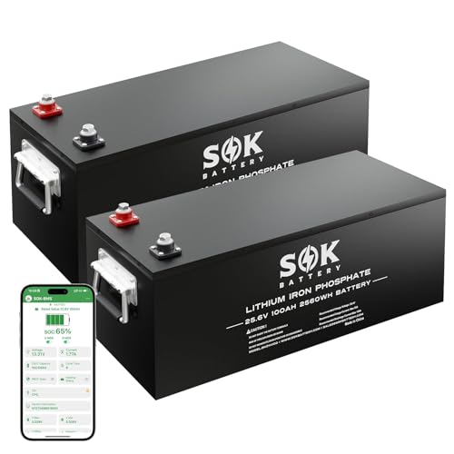 SOK Battery 12 Volt Lifepo4 Battery RV Lithium Battery, 8000+ Cycles &...