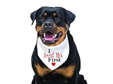 I Love Her First Dog Wedding Bandana | Pet Scarf Bibs Accessories for Dog - Dog Bandana/Engagement A