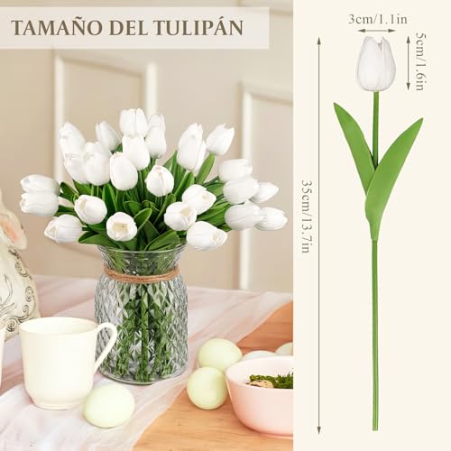 Listado de Tulipanes precio que puedes comprar esta semana. 9 Imagen adicional