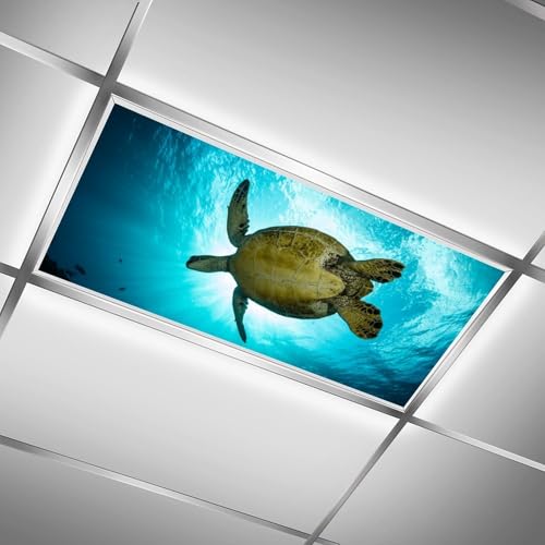 Image of 2pcs Sea Turtle Fluorescent Light Covers for Ceiling Lights Classroom, Magnetic Light Filters for Office, Hospitals, Home 4 X 2 Feet