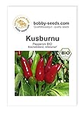 BIO-Paprikasamen Kusburnu Chili / Peperoni Portion