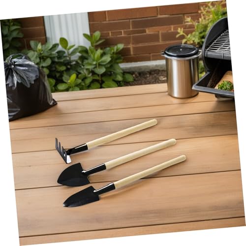 Set de 9 Mini Herramientas de Jardín Alasum para Plantas miniatura 6