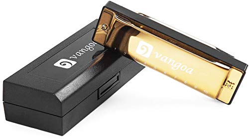 Harmonica Blues 10 Hole 20 Tone Key of C Diatonic Harmonicas Mouth Organ