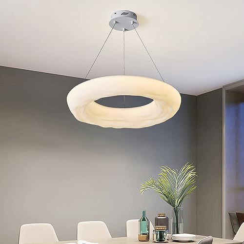 Suspension LED circulaire design moderne en acrylique 1 anneau variable