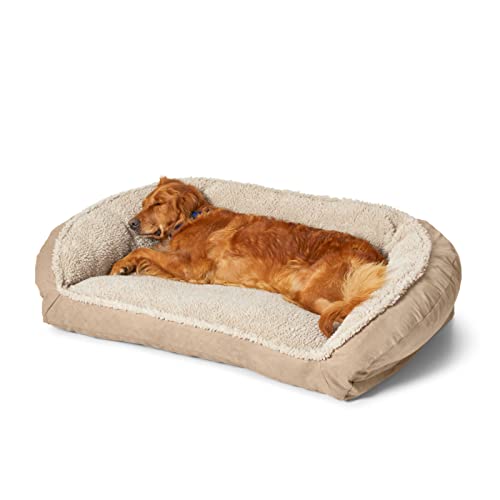Find The Best Orvis Dog Beds 2023 Reviews