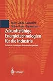 Zukunftsfähige Energietechnologien für die Industrie: Technische Grundlagen, Ökonomie, Perspektiven