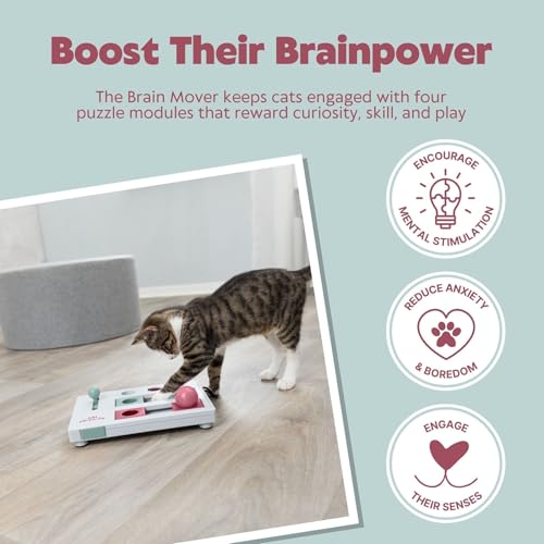 TRIXIE interaktives Katzenspielzeug Cat Activity Brain Mover, Intelligenzspielzeug für Katzen, Strategie-Spiel zur geistigen Förderung & spielerischem Lernen, 25x20 cm, tierschutzkonform - 4596