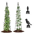 AlisisFores 2 Pack Garden Trellis for Climbing Plants Outdoor,63inch Tall Rustproof Metal Obelisk Trellis Support for Potted Vines Vegetable Plants Indoor Outdoor, Lightweight